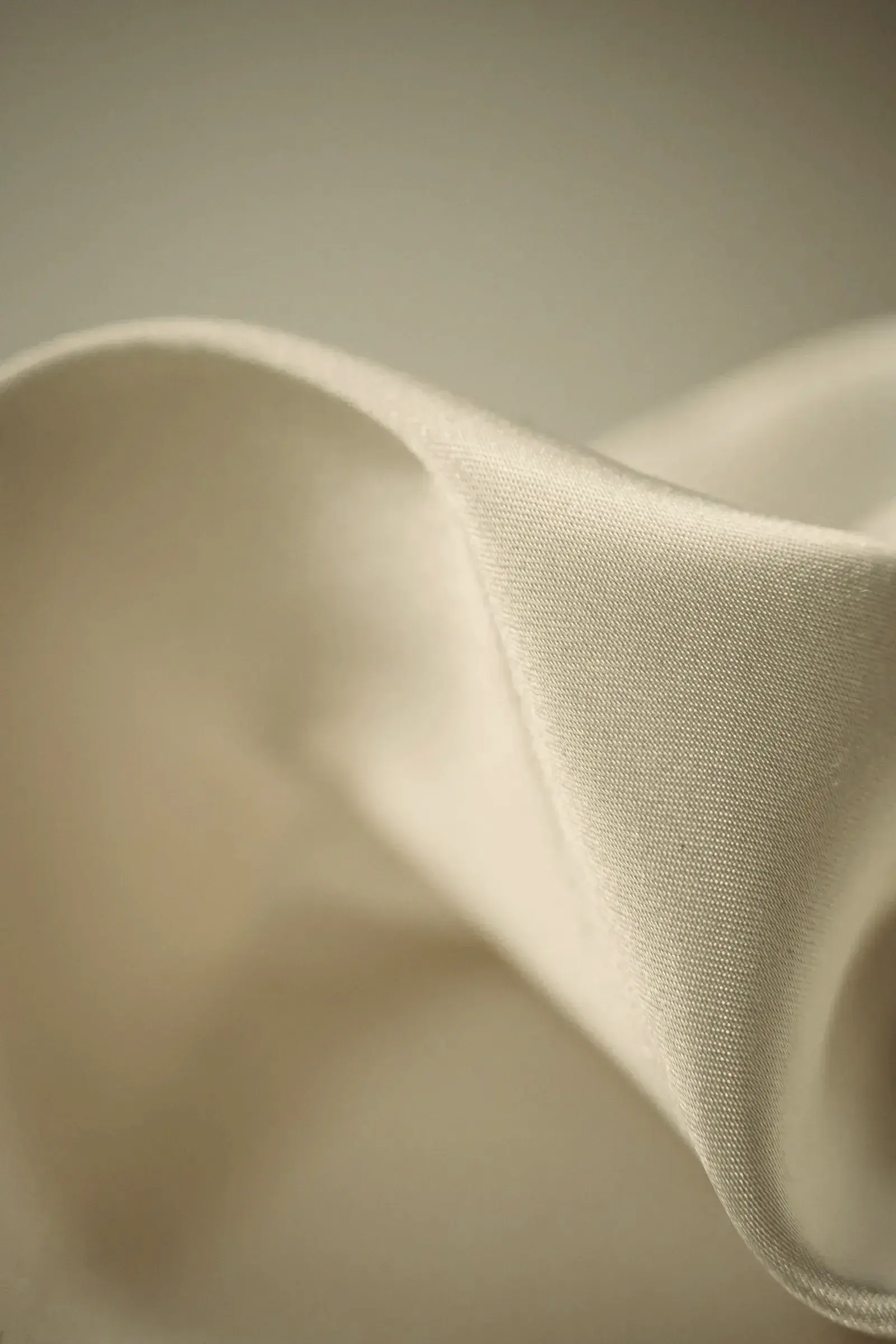 A fold of ivory silk catching the light